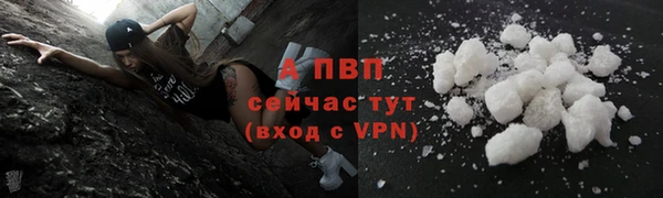 гидра Верея