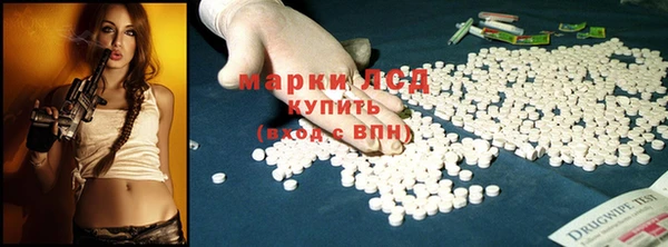 гидра Верея